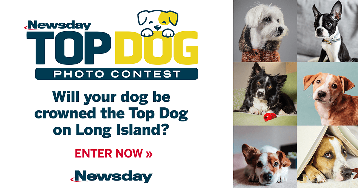 Newsday's Top Dog Photo Contest